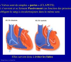CENTRE Yaoundé Maladie des valves cardiaques